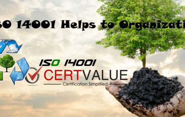 How to choose an ISO 14001 consultant in Kuwait?