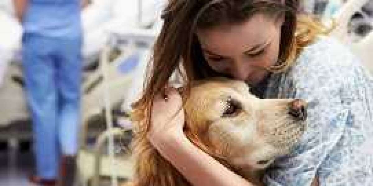 Possible Details About Pet Friendly Rehabs Near Me