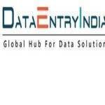 Data Entry India Profile Picture