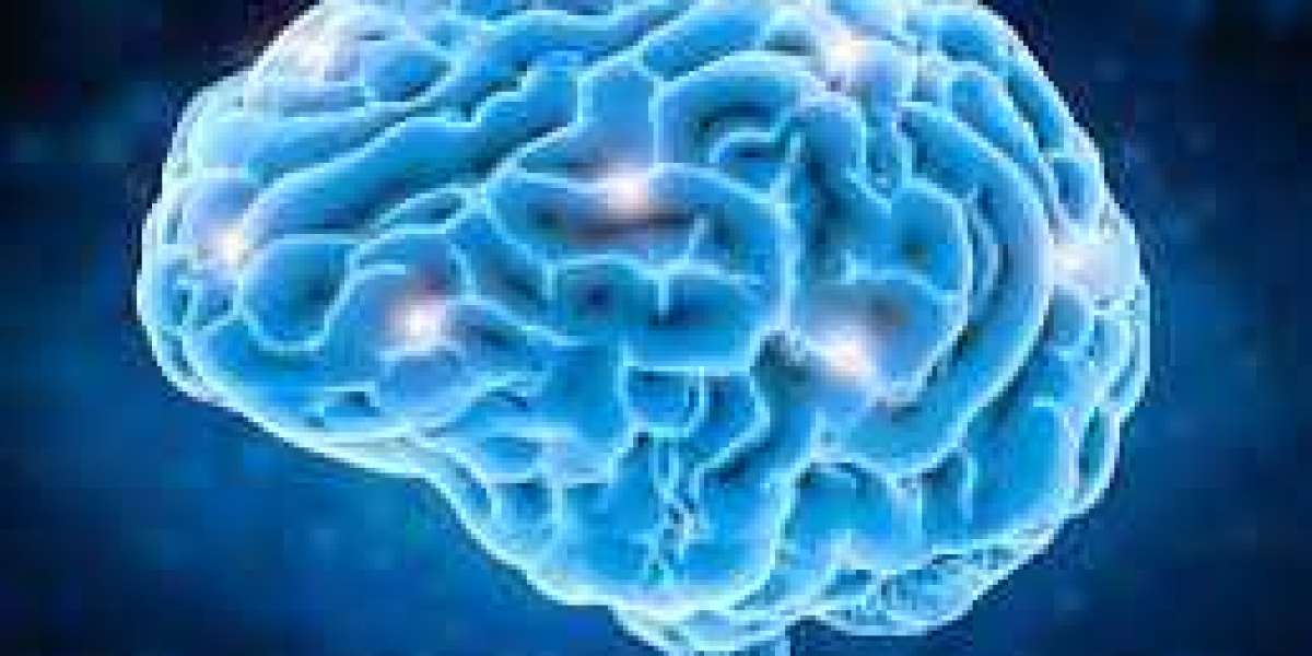 Selzia Brain:-Better the communication between brain cells