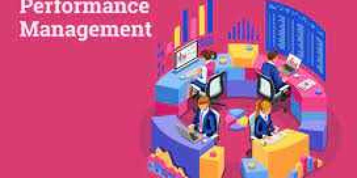 Characteristics of Performance Management System in Evaluating a Firm's Effectiveness