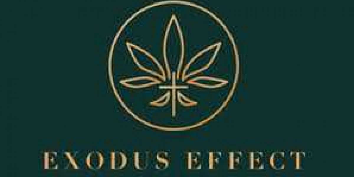 Exodus Effect Provides great client care