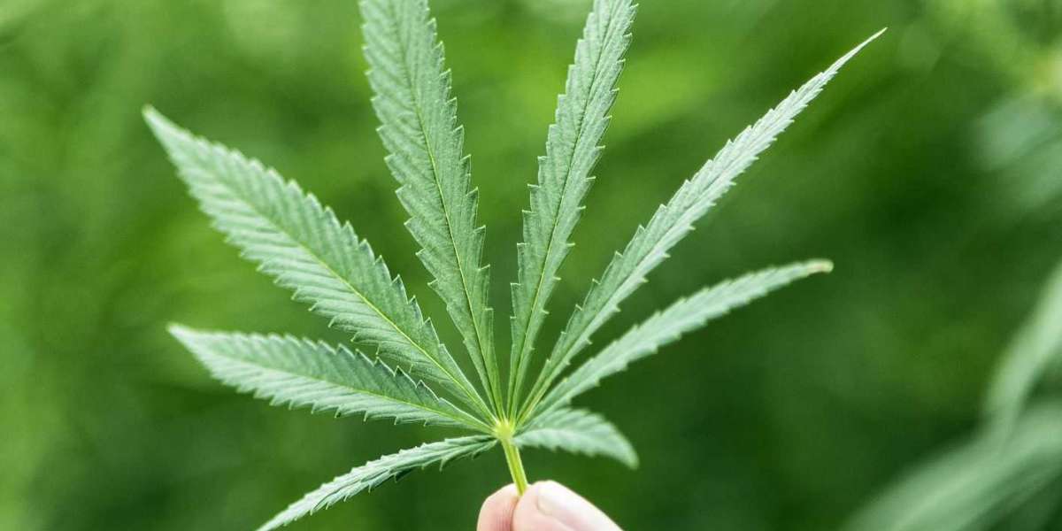 5 forms of medical marijuana in West Virginia