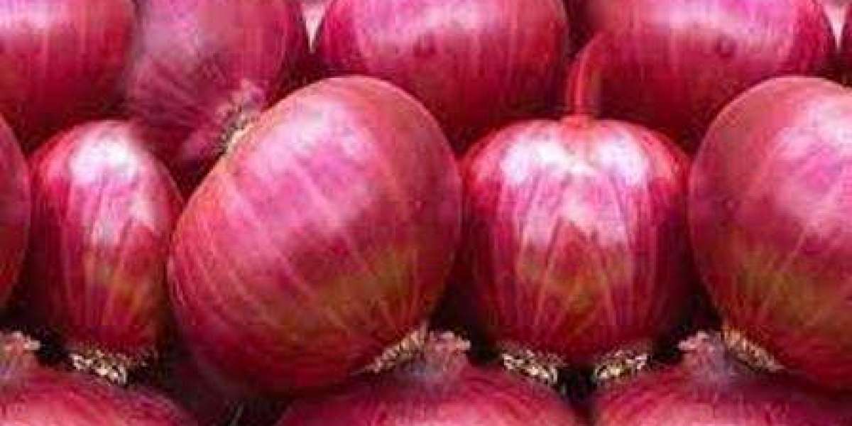 Fresh Onion Distributors in Mexico