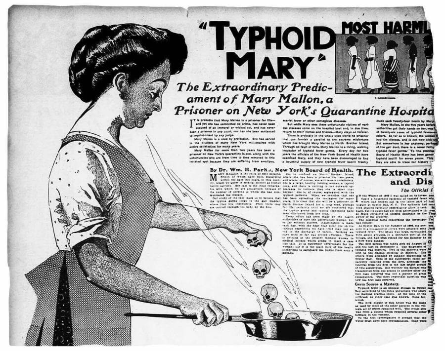 Who was Typhoid Mary | History of typhoid fever