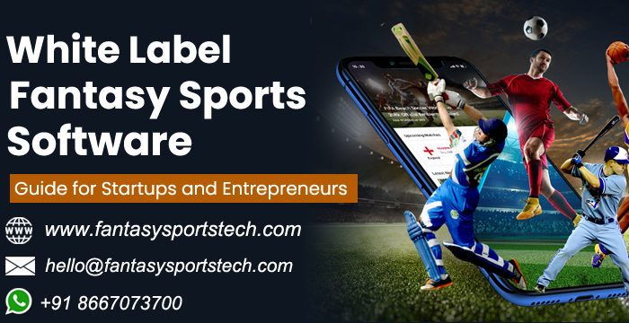 White Label Fantasy Sports Software | Complete Guide for Startups