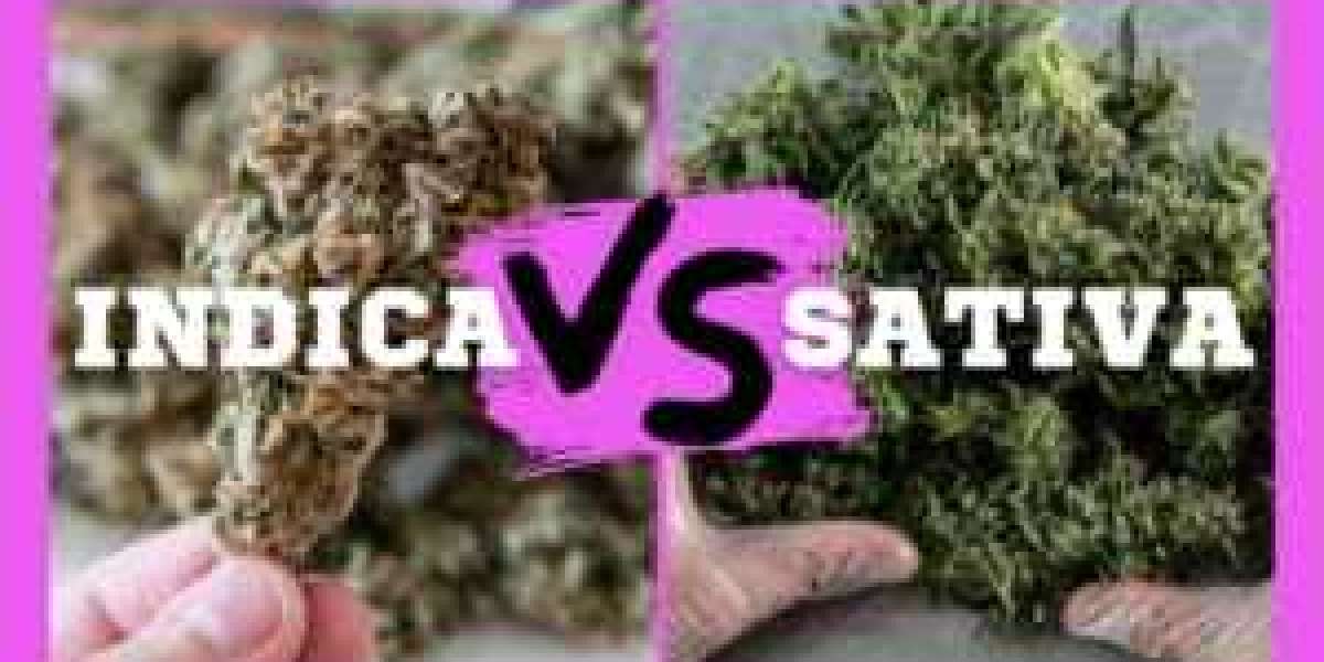 Indica vs Sativa: What's the difference between?