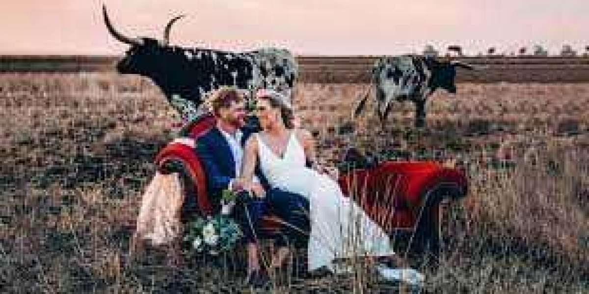 Well Known Wedding Photographer in Toowoomba