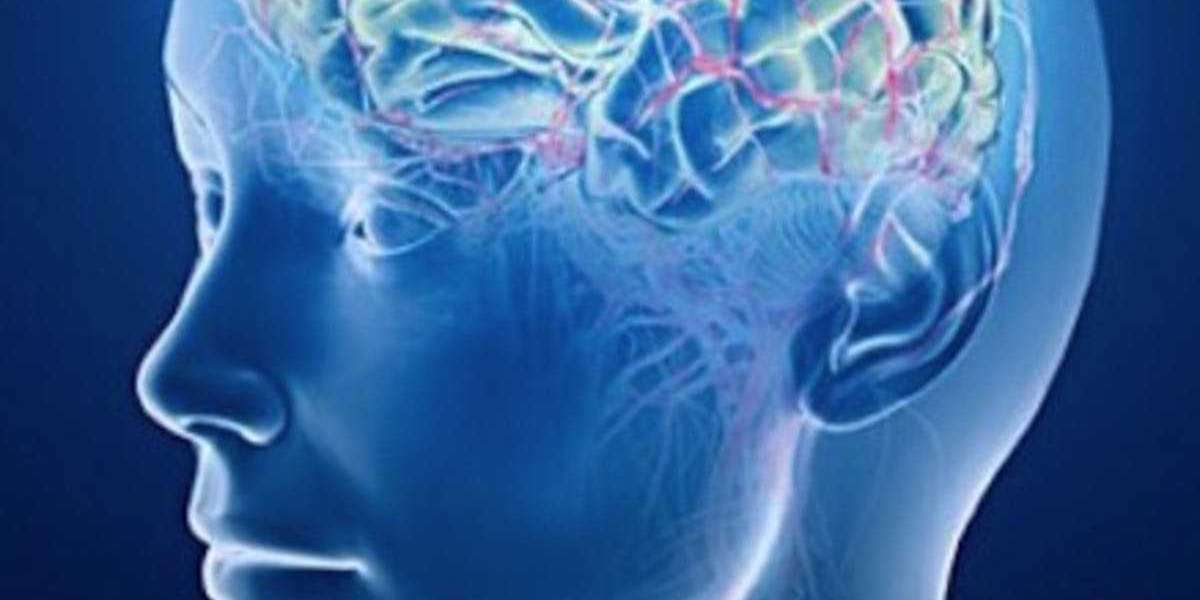Limitless NZT-48 Brain Booster:-Better the communication between brain cells