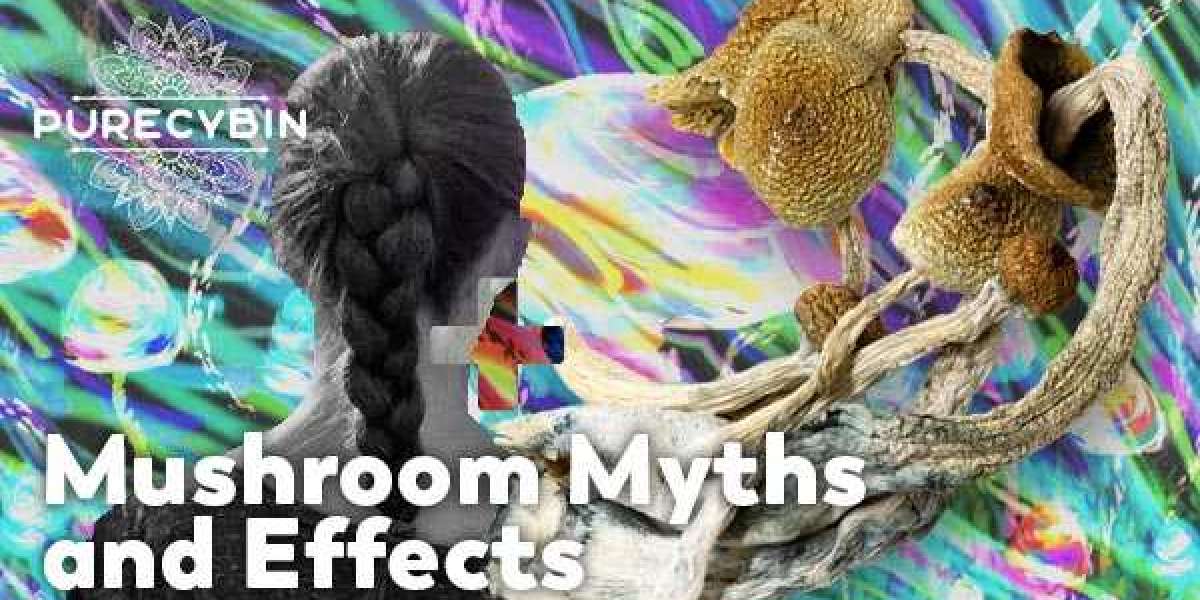 Mushroom Myths and Effects