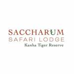 Saccharum Safari Profile Picture