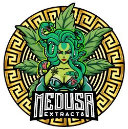 Buy Magic Mushrooms Collection In Canada | Medusa Extracts