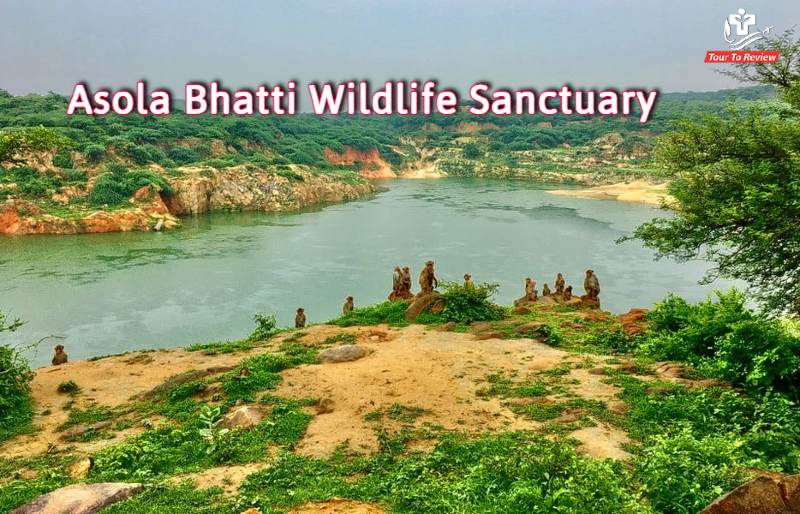[Detailed Guide] Asola Bhatti Wildlife Sanctuary, New Delhi