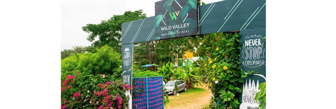 wild valley Cover Image