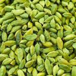 Best Cardamom Wholesalers in Bodinayakanur Profile Picture