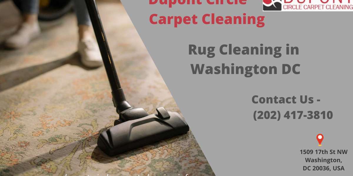 Best Carpet Cleaning Services in DC