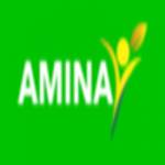 Amina International, LLC Profile Picture