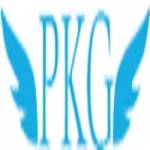 PKG Consultancy Profile Picture