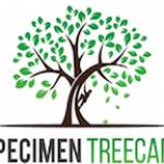 Specimen Treecare Profile Picture