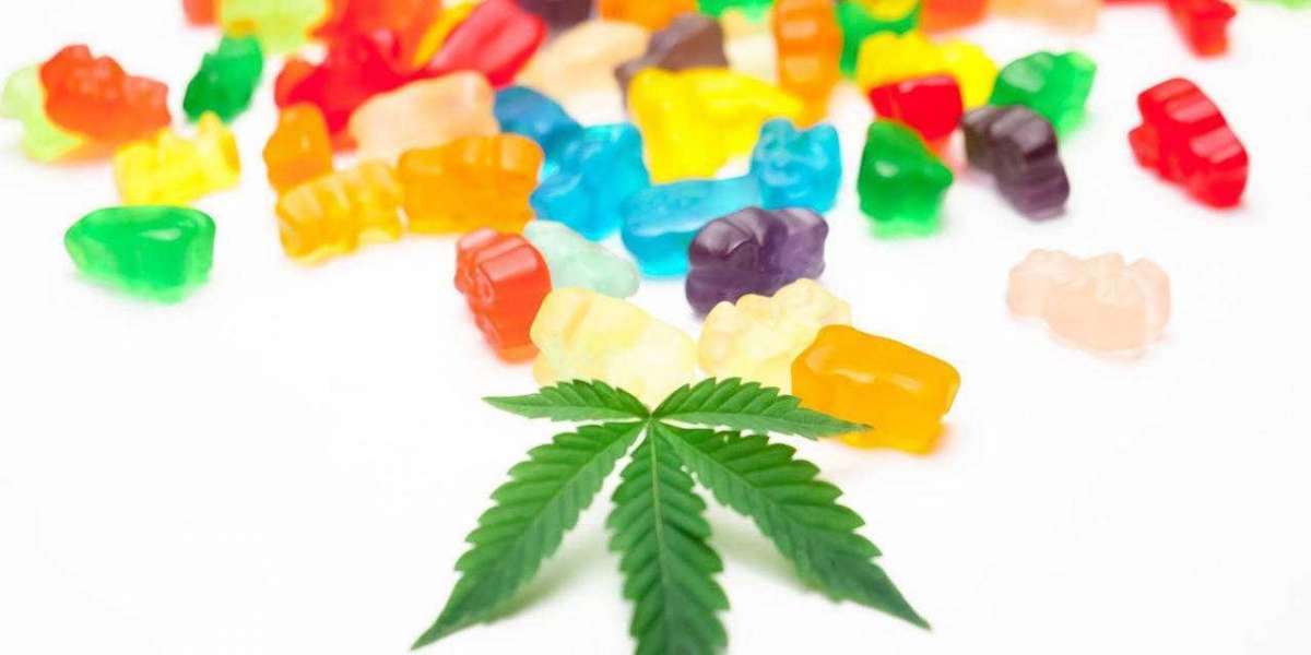 The Incredible Tamra Judge CBD Gummies Product I Can’t Live Without