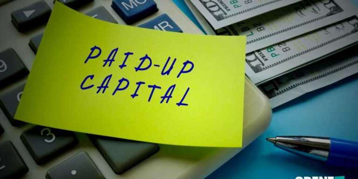 Define Paid up capital Process