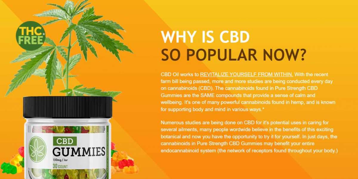 7 Ways To Keep Your LAURA INGRAHAM CBD GUMMIES Growing Without Burning The Midnight Oil