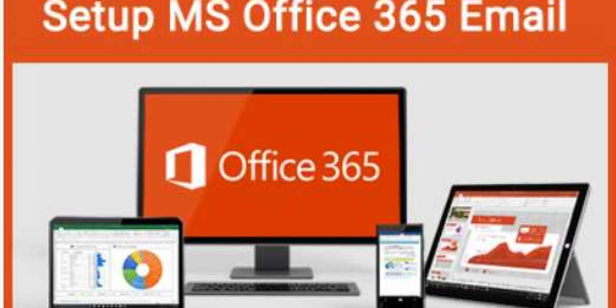 How Can I Set up the MS Office 365 Email?