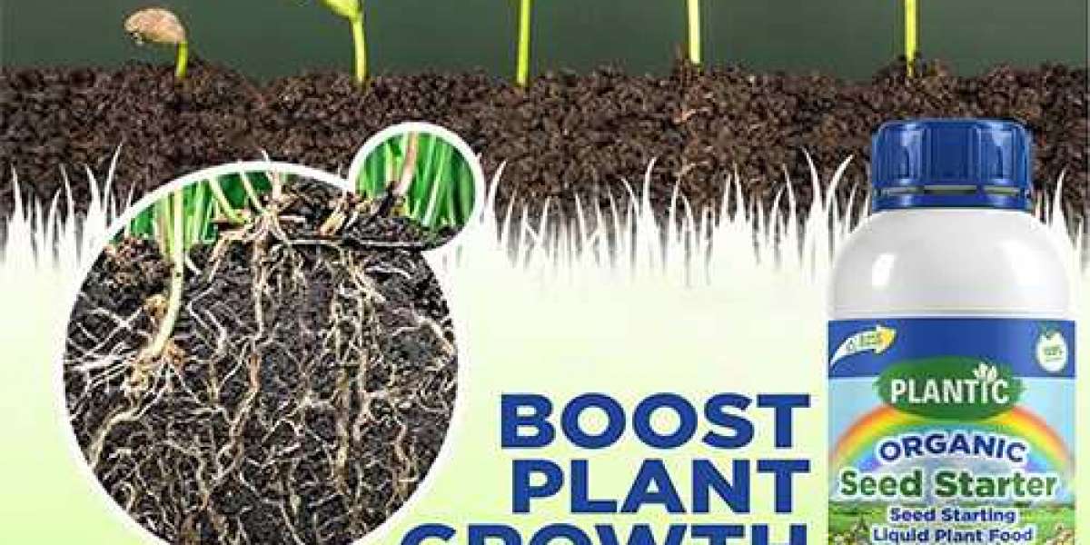 How to Take Care of Your  Seed Starter Fertilizer For Vegetable Plants