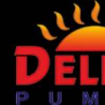 Delite Pumps Profile Picture