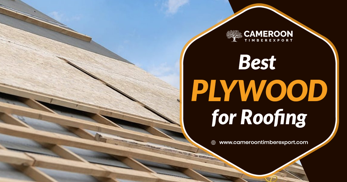 How To Choose The Best Plywood For Roofing?
