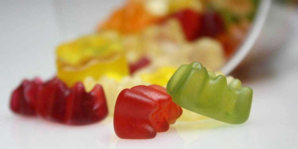 What are the critical Ingredients of GoKeto Gummies Keto Gummies?
