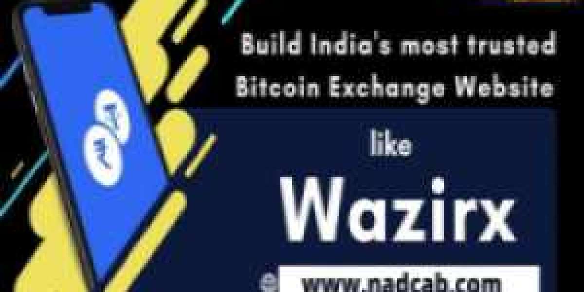 WazirX Clone App Development Service in Delhi