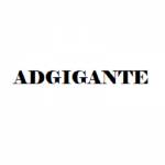 Adgigante Web Development Company Profile Picture