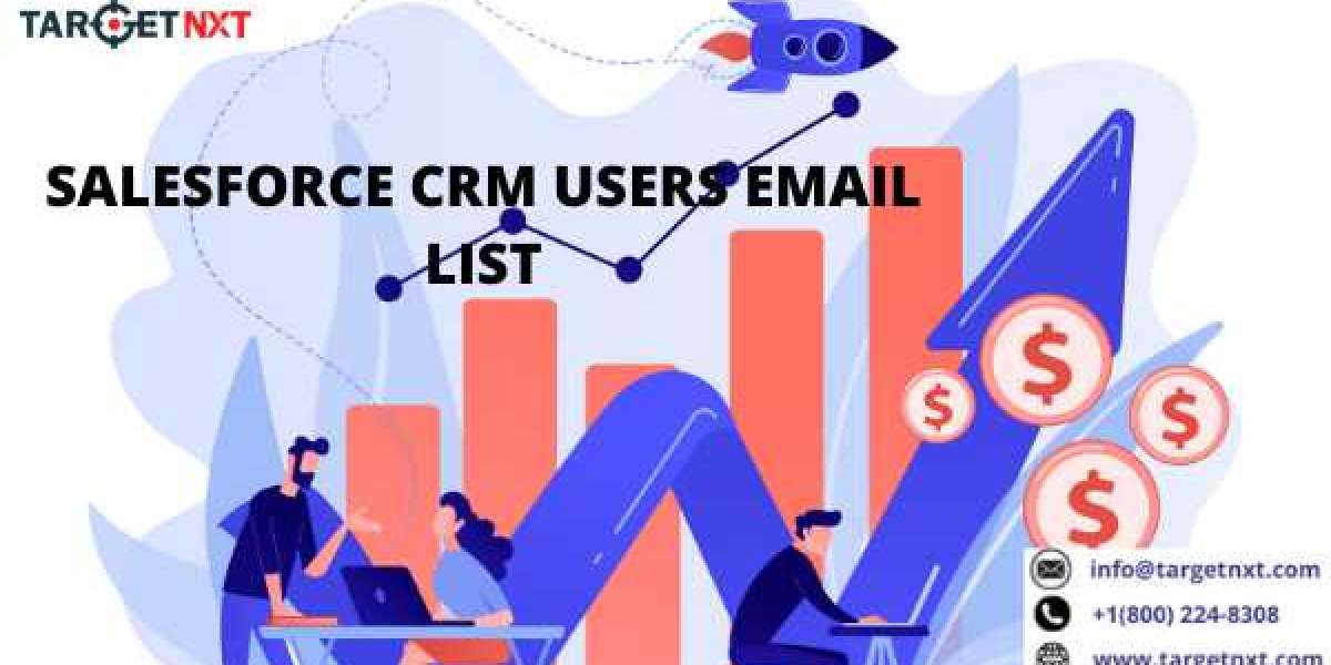 Salesforce Users Email List