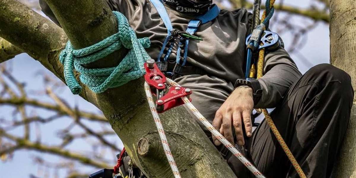 What is The Best Rope For Pulling Trees?
