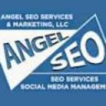 Angel SEO Services Profile Picture
