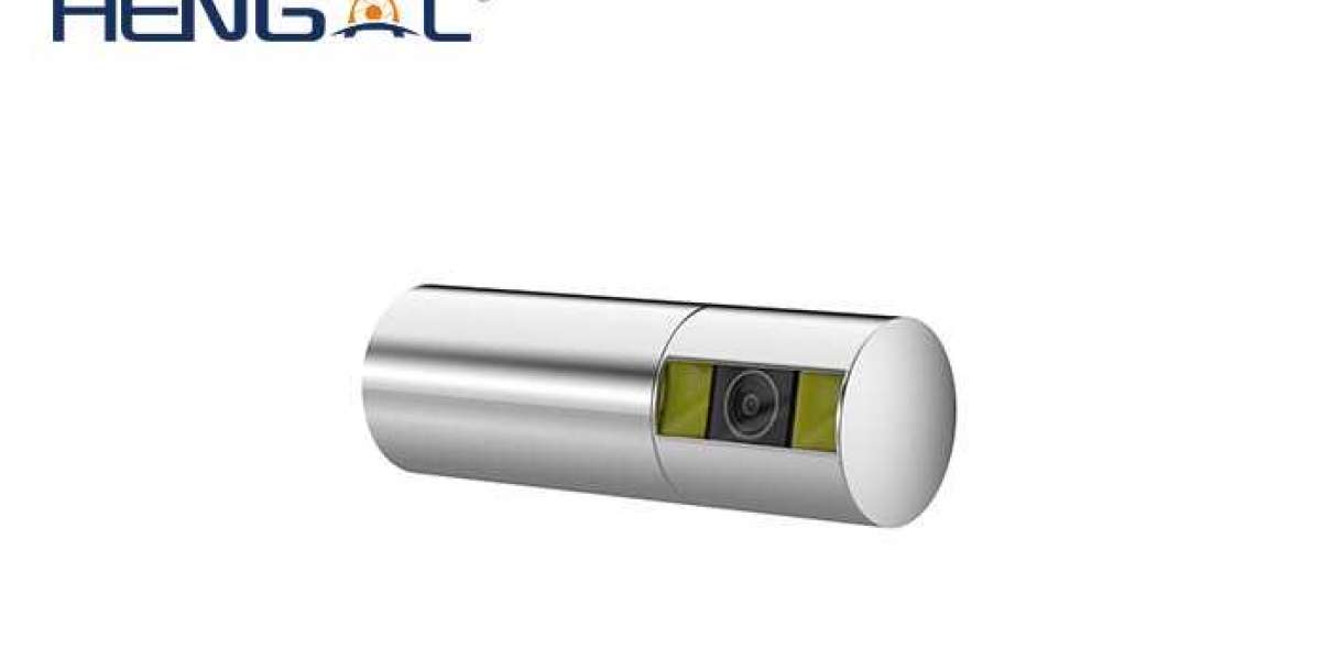 What is the role of Medical Endoscope Camera Module?