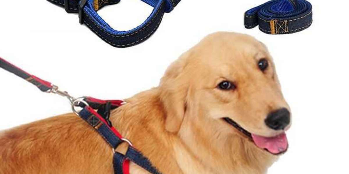 The Pros and Cons of a Dog Collar and Leash