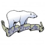 Polar Bear Air Profile Picture
