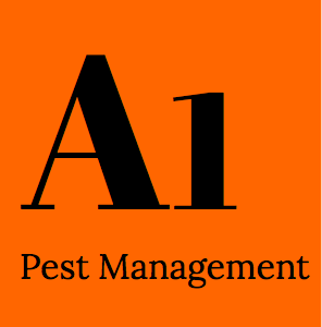 Flea Pest Control Brisbane - A1 Pest Management