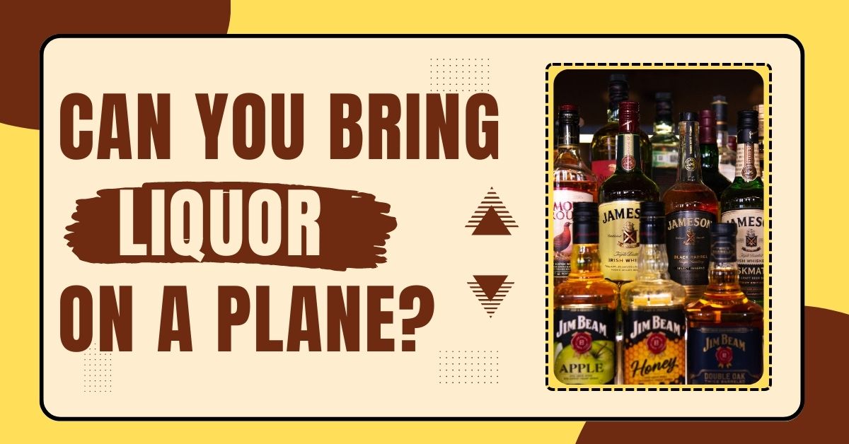 Can You Bring Liquor On A Plane? TSA Alcohol Rules