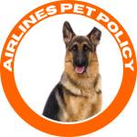 airlines petpolicy Profile Picture
