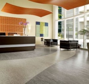 Benefits of Choosing Carpet & Vinyl Flooring For Commercial Properties