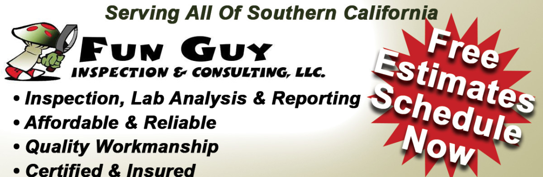 Fun Guy Inspection And Consulting LLC Cover Image
