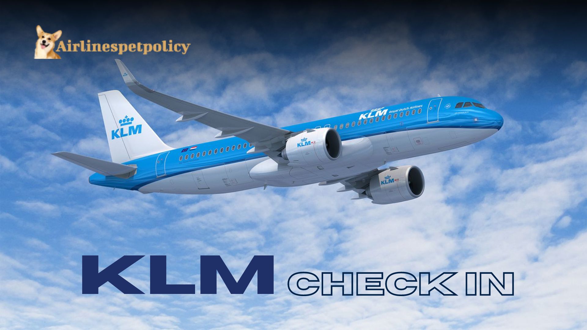KLM Check In Policy | 24 Hour | +1-844-902-4930