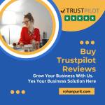 Buy trustpilot reviews Profile Picture