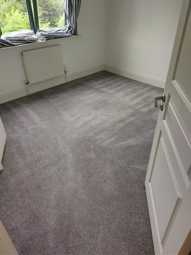 How To Maintain The Carpet After A Professional Cleaning