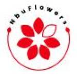 nbu flowers Profile Picture
