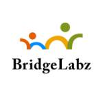 bridge labz Profile Picture