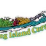 Long Island Corals Profile Picture